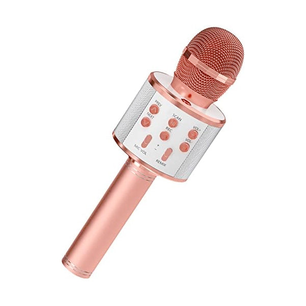 Microphone for Singing