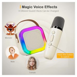 Portable Bluetooth Karaoke Speaker with 2 Wireless Microphones
