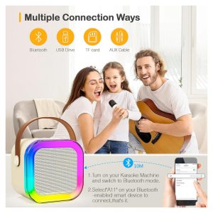 Portable Bluetooth Karaoke Speaker with 2 Wireless Microphones