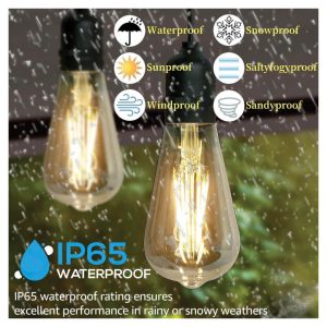 Outdoor String Lights | Commercial Grade Festoon Lights | 10 Meter | 20 LED Bulbs | Waterproof | Decorative Hanging Light for Patio, Garden, Porch, Yard